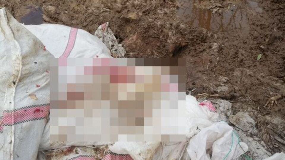 Ölü tavukları çevreye attı! Büyük para cezası!