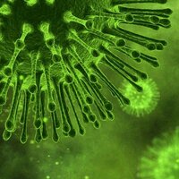 İşte sizden gelen karantina videoları