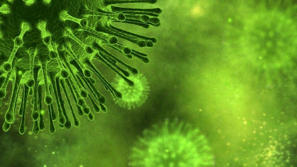 İşte sizden gelen karantina videoları