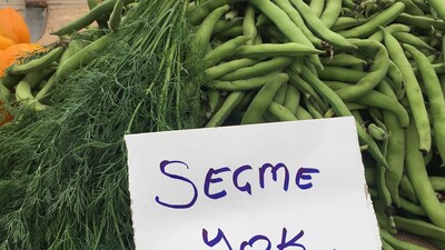 Vatandaşa "seçmece yasağına uyun" mesajı