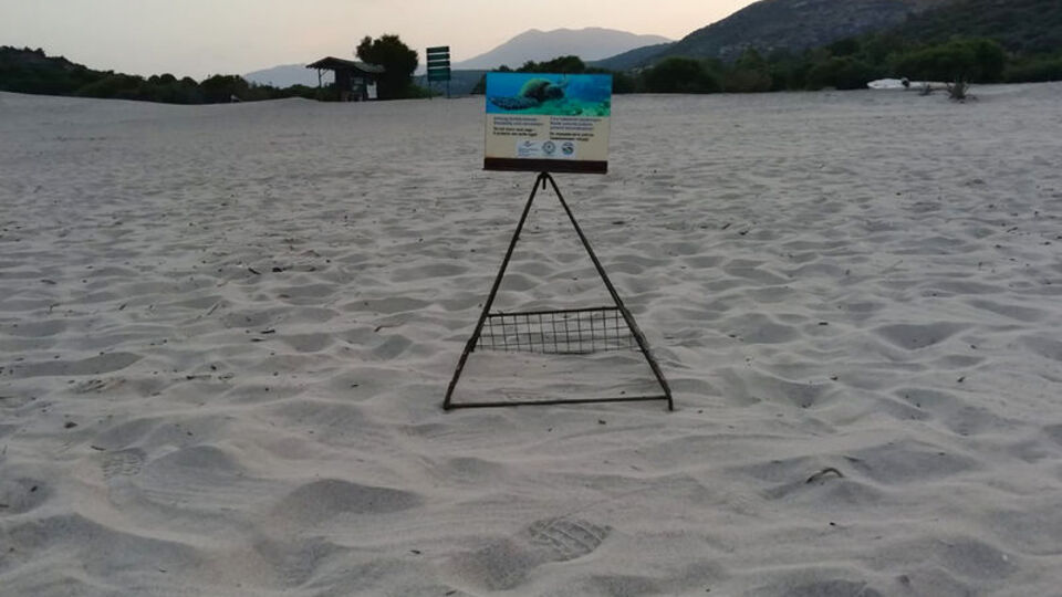 Boş sahiller onları bekliyor!