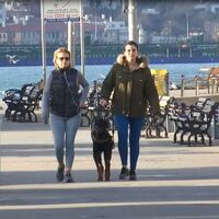 Uyarılara kulak asmadılar! Sahilde yürüdüler!