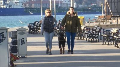 Uyarılara kulak asmadılar! Sahilde yürüdüler!