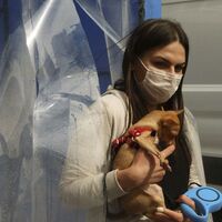 Kabinde dezenfeksiyon kuyruğu!