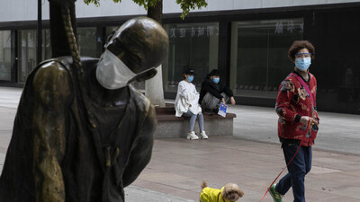 Çin, köpekleri 'dost hayvan' olarak görmeye hazırlanıyor