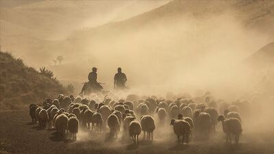 "Tarımda milli seferberlik ilan edilmeli"