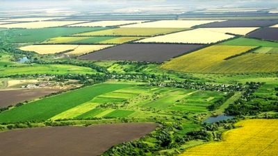 Bakan duyurdu! O araziler tarıma açılıyor