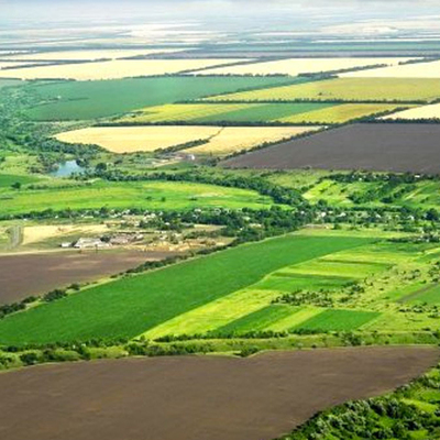 Bakan duyurdu! O araziler tarıma açılıyor