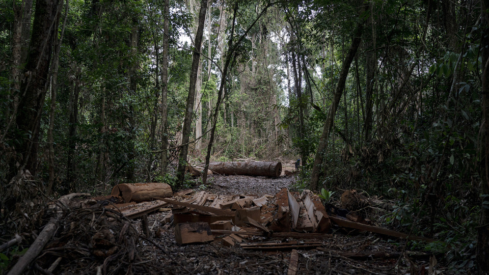 Dış dünyadan izole kabilede koronadan ilk can kaybı!