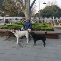 Yasağa rağmen sokağa çıktı! "Haberim yoktu!"