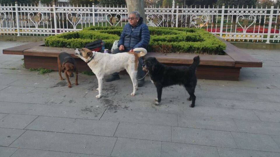 Yasağa rağmen sokağa çıktı! "Haberim yoktu!"