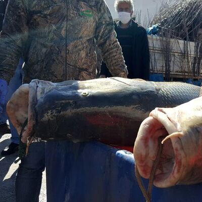 Fırat'ın devleri şaşırttı! Mesafe unutuldu