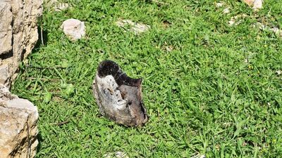 Kulp'taki terör saldırısında tutuklama kararı