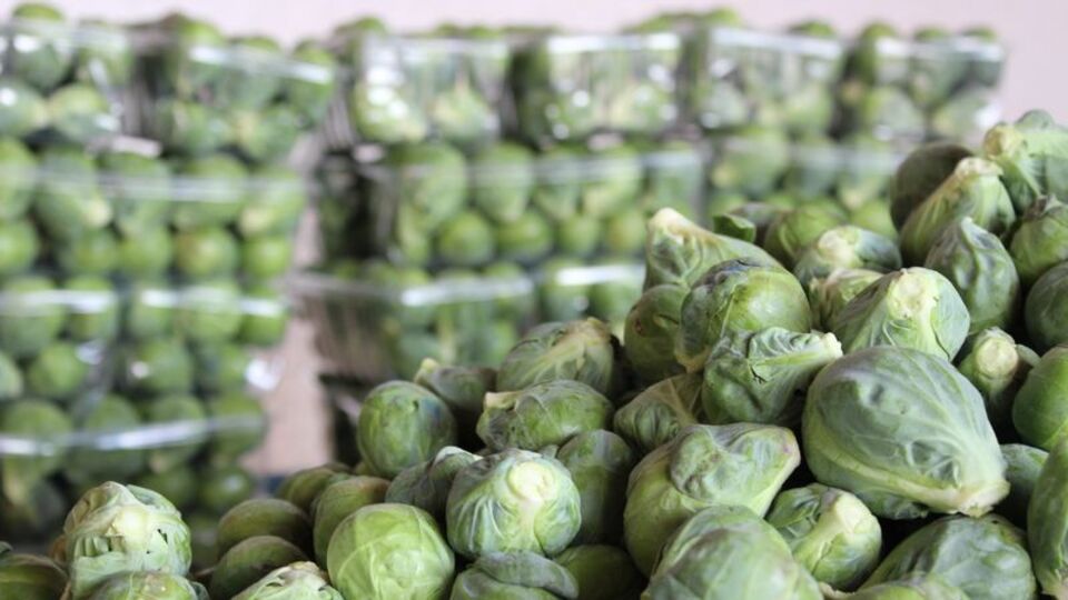 Brüksel lahanası yemeği nasıl yapılır?