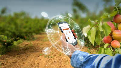 Tarlaya uzaktan erişim sağlayacak