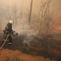 Çernobil alarmı: Söndürülemeyen yangın nükleer santrale yaklaşıyor!
