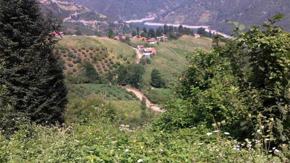 Tokat'ta 1 köy karantinaya alındı