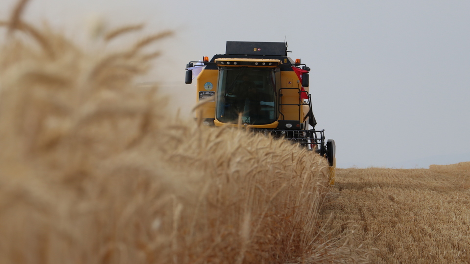 Tarım-ÜFE martta arttı