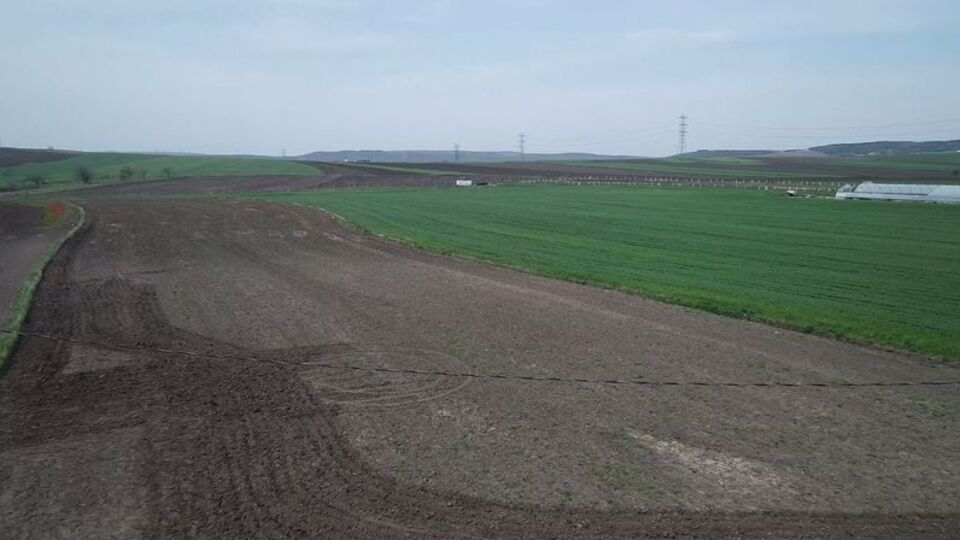 Silivri'de lale üretimi durdu