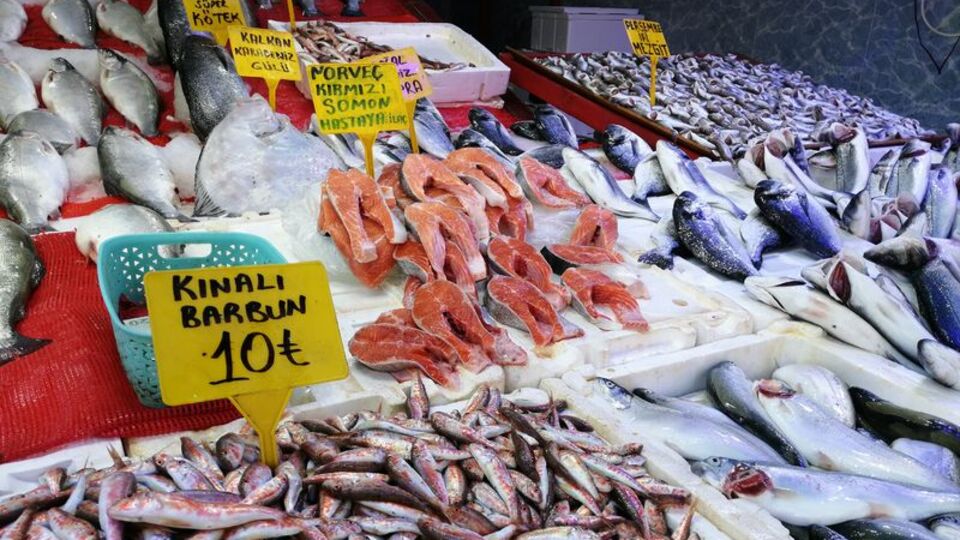 Av yasağı başladı!