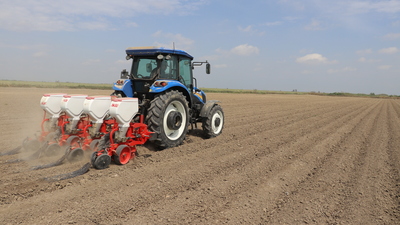 Pamuk üreticileri destek bekliyor