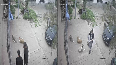 Korkunç iddia kumpas çıktı!