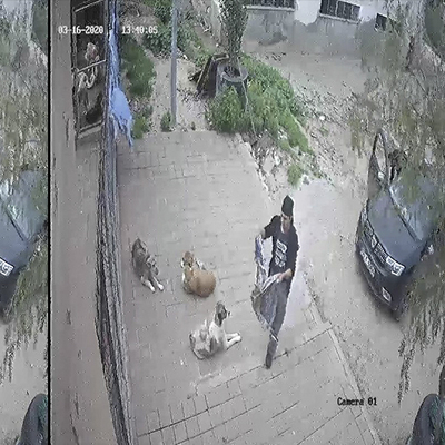 Korkunç iddia kumpas çıktı!