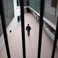 O canilere tahliye yok!