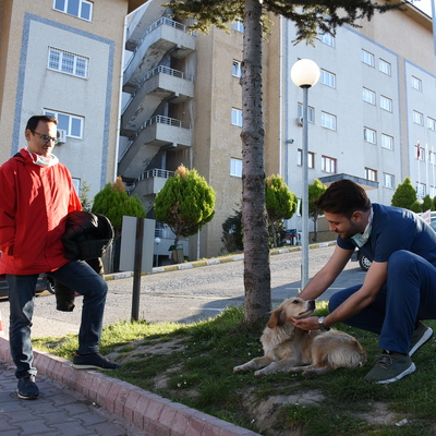 Bartın'ın Hachiko'sundan kaygılandıran haber!