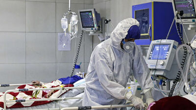 Fransız bilim insanları açıkladı! Yüksek sıcaklıkta da yaşıyor