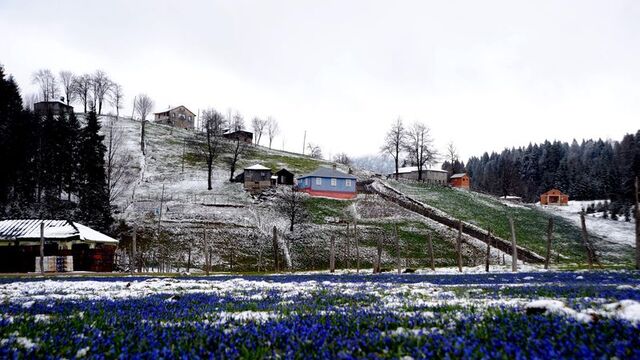 Bir zamanlar böyleydi... Yasak getirildi!