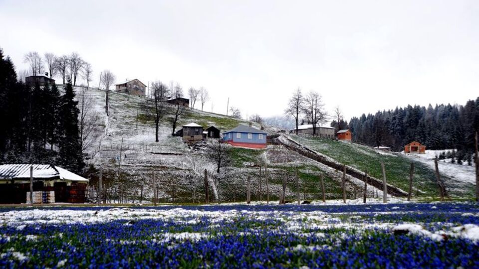 Bir zamanlar böyleydi... Yasak getirildi!
