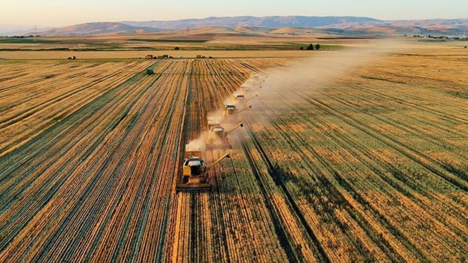 228 projeye 195 milyon lira hibe