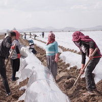 Tarım işçileri mesaide
