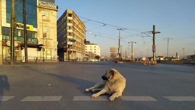 Kısıtlamada ikinci gün!