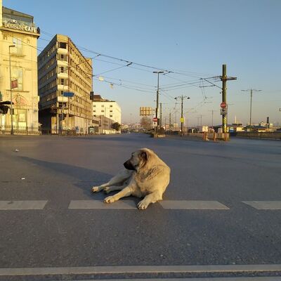 Kısıtlamada ikinci gün!