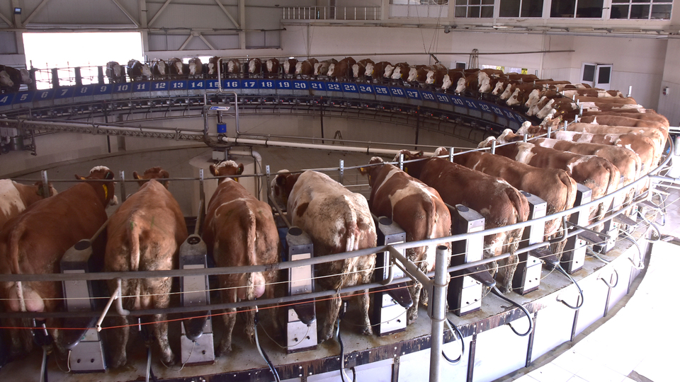 El değmeden üretiliyor! Büyük ilgi gördü