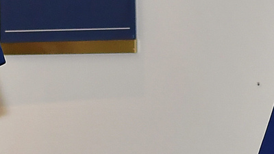 İsveç Prensesi korona mücadelesinde gönüllü!