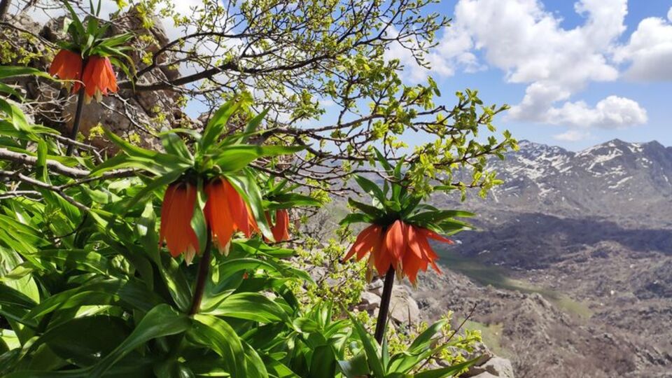 'Ağlayan gelin' olarak biliniyor... Büyülüyor!