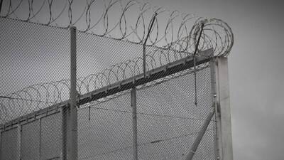 Af yasası 2020 son dakika gelişmeleri