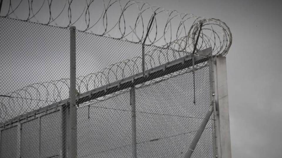 Af yasası 2020 son dakika gelişmeleri