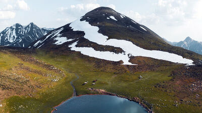Yüzlercesi havadan görüntülendi