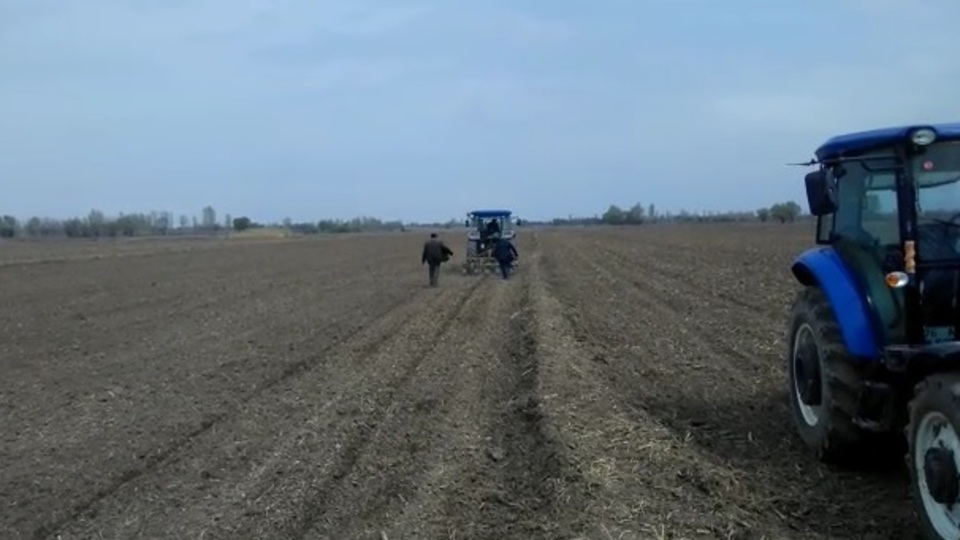 Türkşeker'den hububat için sözleşmeli tarım uygulaması