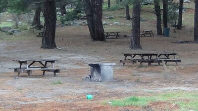 Edirne'de piknik yapan 45 kişilere para cezası