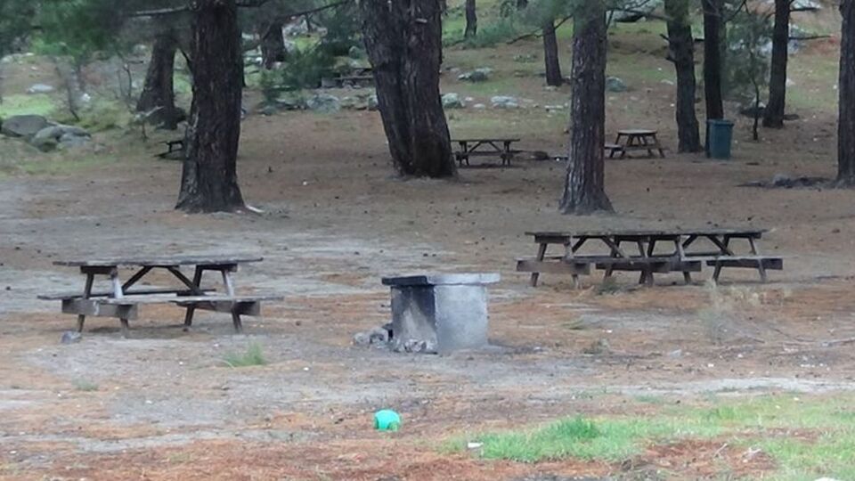 Edirne'de piknik yapan 45 kişilere para cezası