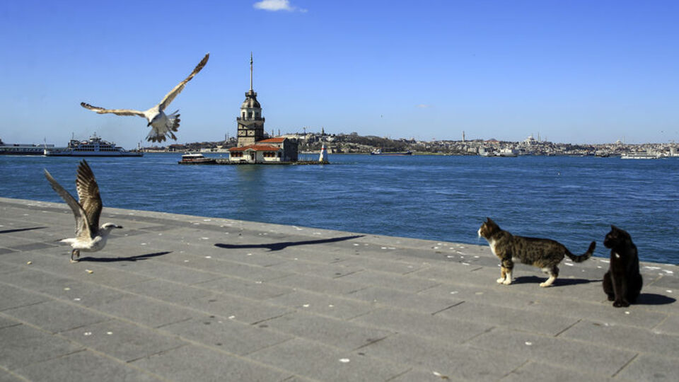 Kısıtlama başladı! İstisnalar neler?