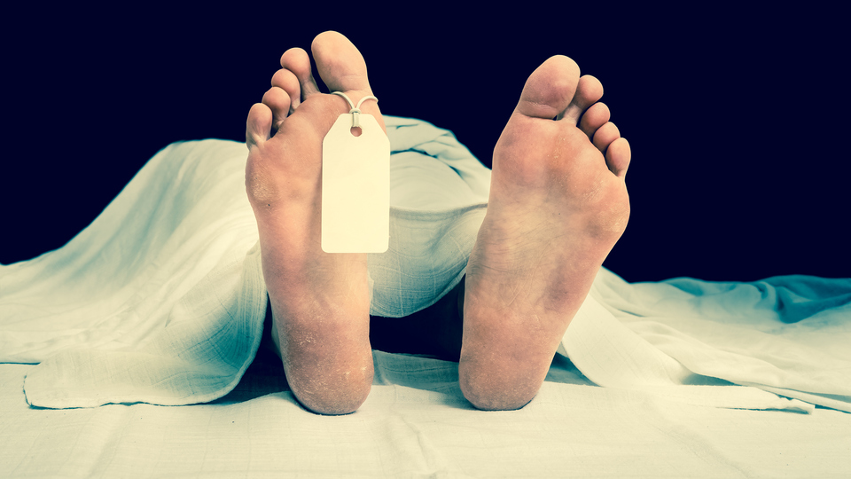 Virüsün sırlarına otopsi!