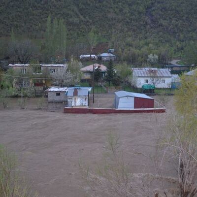 Habur taştı, tarla ve ahırları su bastı