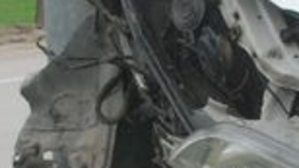 Direğe çarpan otomobil şaha kalktı