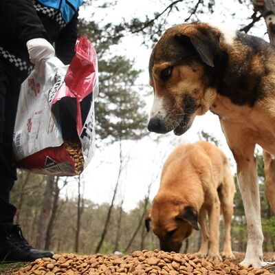 Bunu onlara yapmayın!